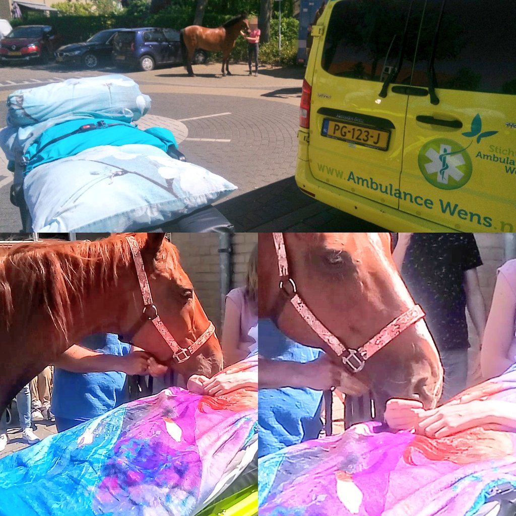 Arjan Verhoeven tweet media