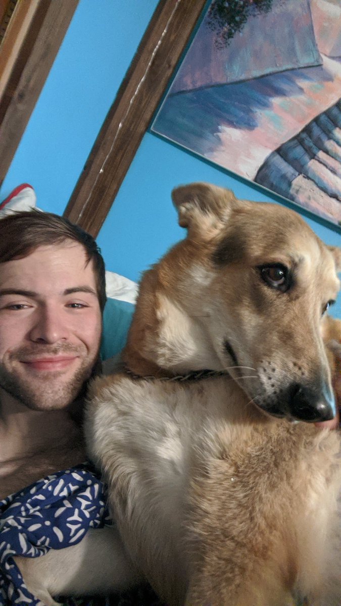 datblufox's tweet photo. #ShepherdSaturday lol with Molly https://t.co/rqCADA9wsk