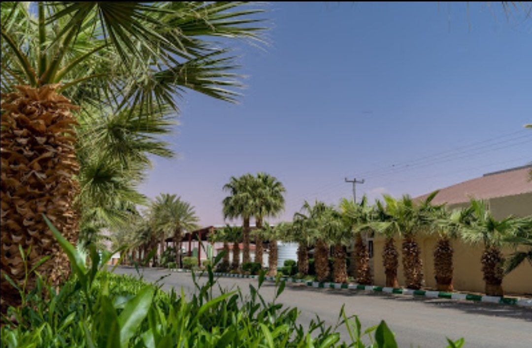 AltukhaimDairy's tweet photo. #altukhaim #milk #KSA #SaudiArabia #feedtheworld #feedthenation https://t.co/P4igTk1Sao