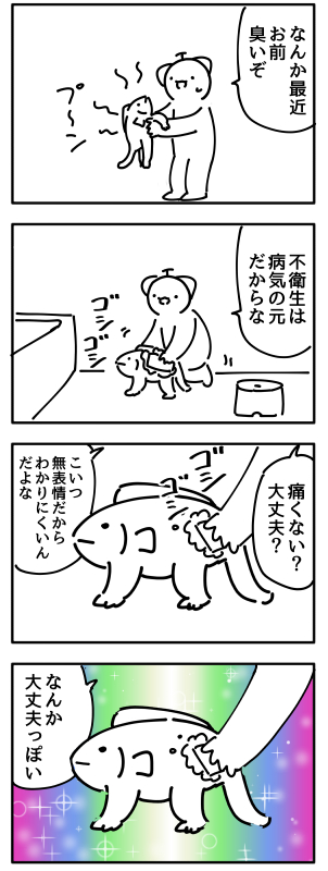 さかなねこ日記 15
コツがわかってきました 