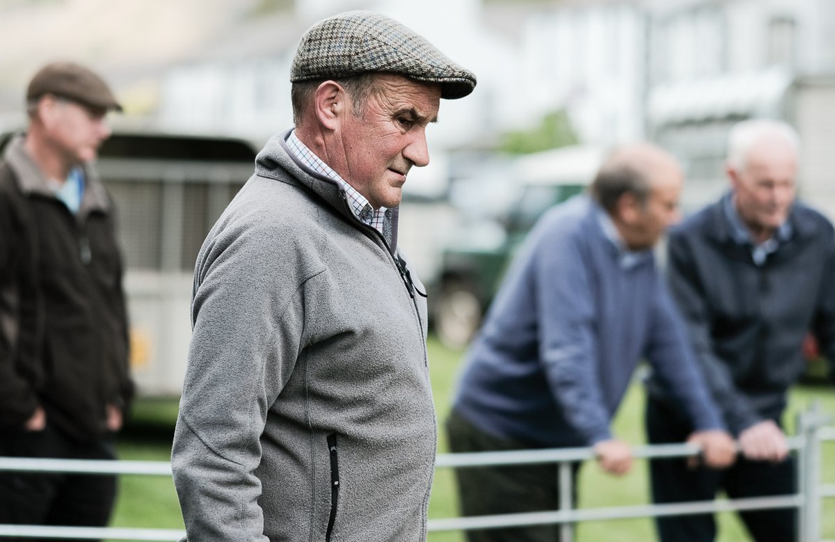 On, then, to the competition proper. Glenn Wilkinson judged last year, and if there's anybody knows one end of a Herdwick from t'other, it's Glenn. This was back in the pre- @herdwicktweed cap days, so he was still wearing Old Faithful at the time