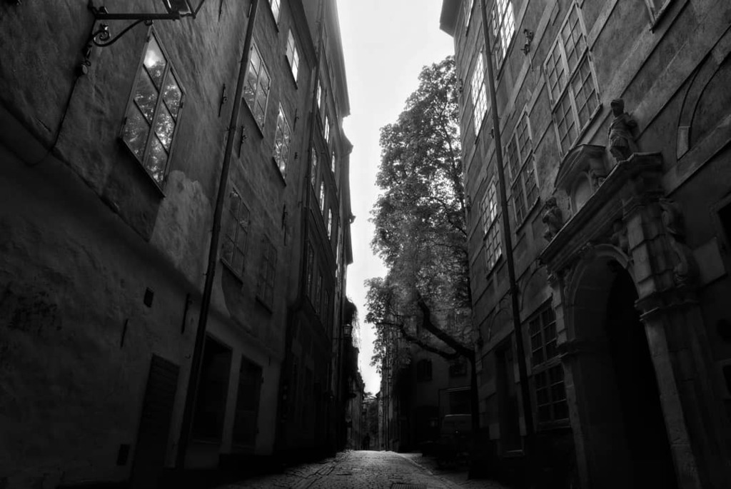 NiklasBorsting's tweet photo. Silence pt4
.
.
.
.
Stockholm
#stockholm #viewstockholm #stockholmcity #stockholmimitthjärta #visitstockholm #igscstockholm #stockholminsta #sverige #sverige🇸🇪 #ig_sverige #sweden #ig_sweden #sweden_photolovers #swedenimages #loves_sweden #cityscape #c… https://t.co/RZXgakF5Do https://t.co/JDu7y7sfT5