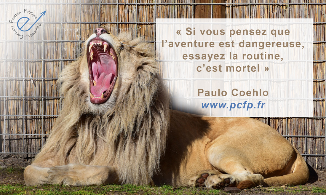 P_C_F_P's tweet photo. 🔔 « Si vous pensez que l’aventure est dangereuse, essayez la routine, c’est Mortel »
Paulo Coehlo
🌐 https://t.co/NBop2pI0qF
#formationenligne #preparation #concours 
#fonctionpublique #elearning #raep #ecrit #oral #coaching https://t.co/Fvb4H6DBTI