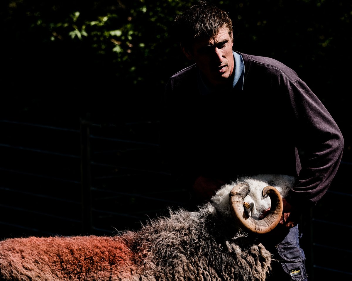 And so the afternoon drifted past, in the glorious weather (don't listen to anybody who tells you it ever rains at Eskdale tup show) and pleasant company, as Glenn worked his way through all the different classes