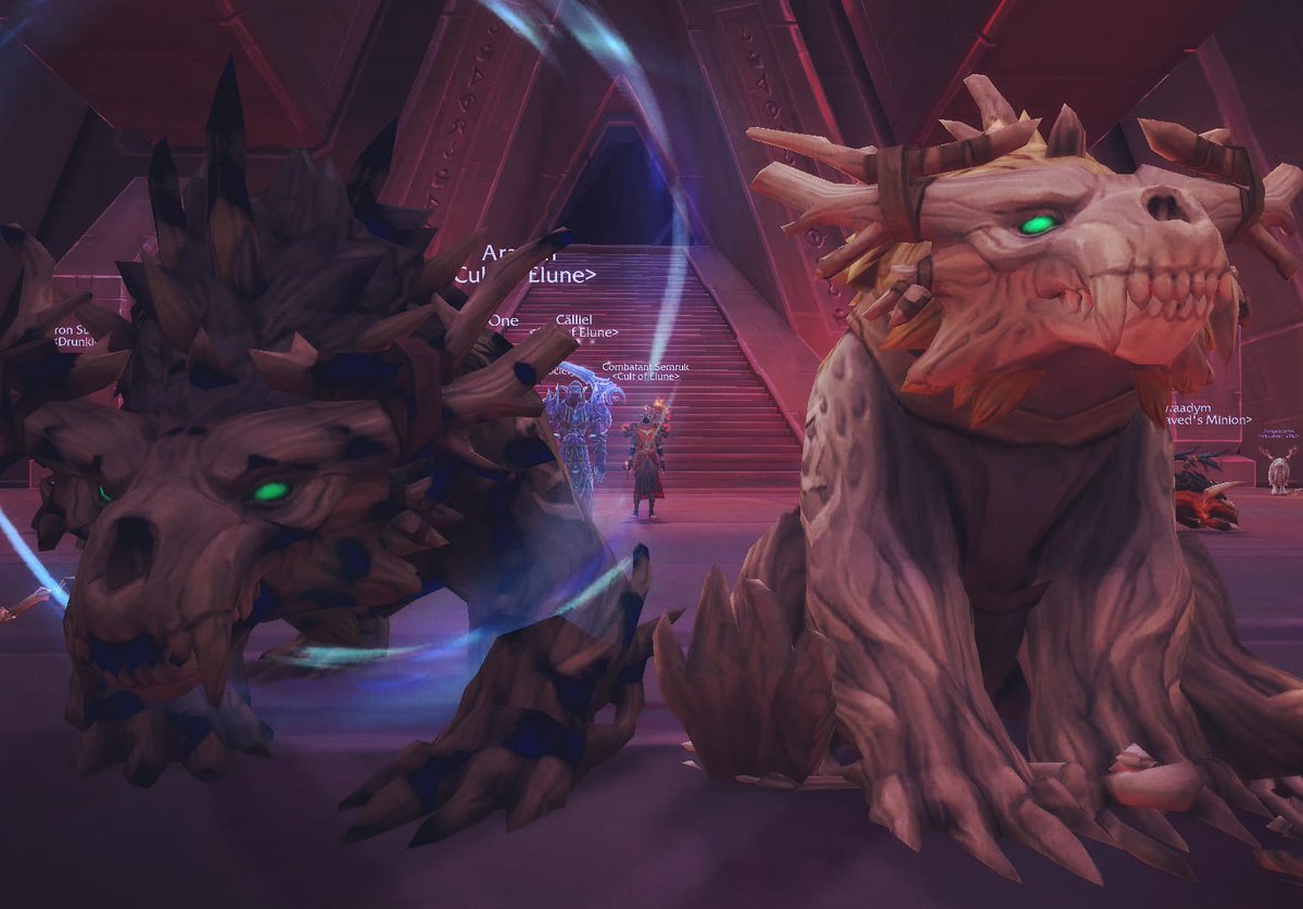 CultofElune's tweet photo. Had a great Friends and Family run last night. Was wonderful to see some new faces joining in 🐻. We have continuation of Heroic Ny'Alotha for our all druid run tonight! It will be streamed so check it out! #alldruidguild #wowdruids #wow #worldofwacraft #stormrage #forelune https://t.co/MinwAUFJcc