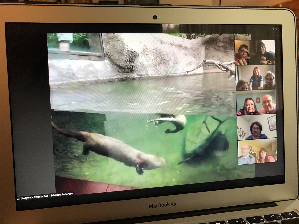 Producer__Matt's tweet photo. Amazing what we have embraced with technology the last couple of months. Currently attending my sisters virtual Birthday Party (She’s 32) with the river otters form @SedgwickCoZoo such a cool thing and a great way to support our zoos! 
#ICT #zoo #happybirthday https://t.co/LYlsj5SKpa