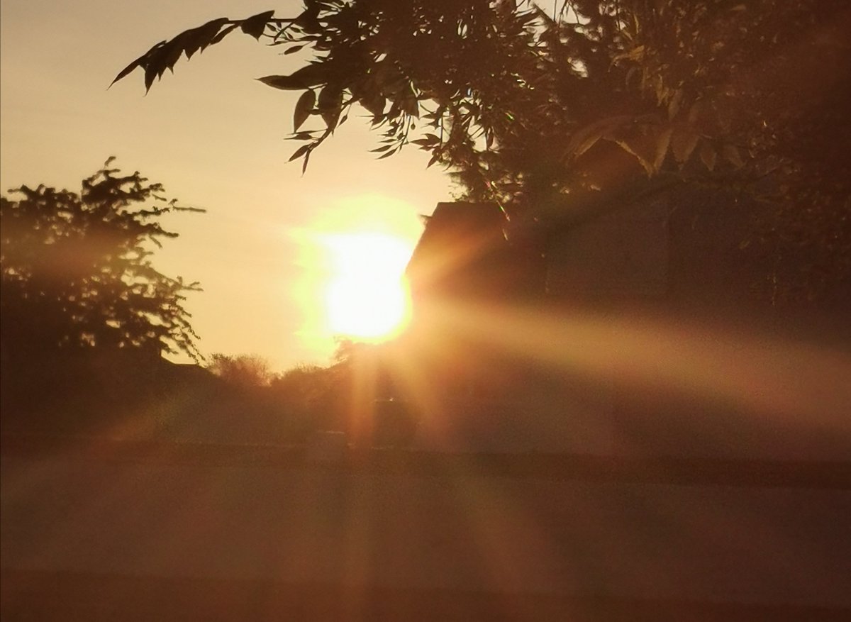 Sandra__Dolan's tweet photo. Such a fantastic start to the day, ironically one of the very best weather wise, for Darkness into light... #dil2020 #hfcsrathcoole #hfcssunriseappeal2020 #Dadstree 🧡💛🧡💛 https://t.co/BFy8kidxd4