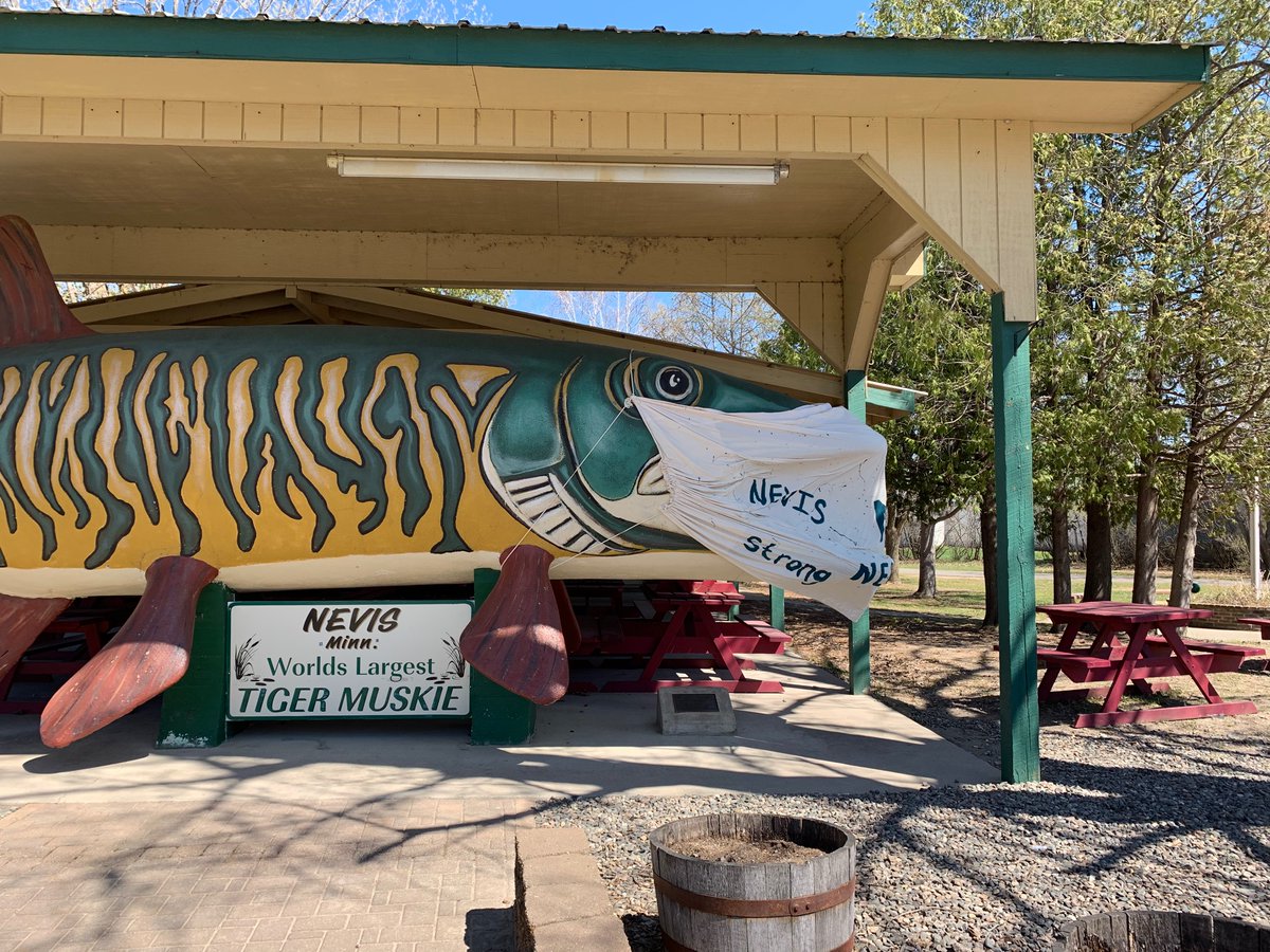 Worlds largest Muskie is wearing an appropriate mask.  Visit Nevis, Minnesota in a socially safe manner.