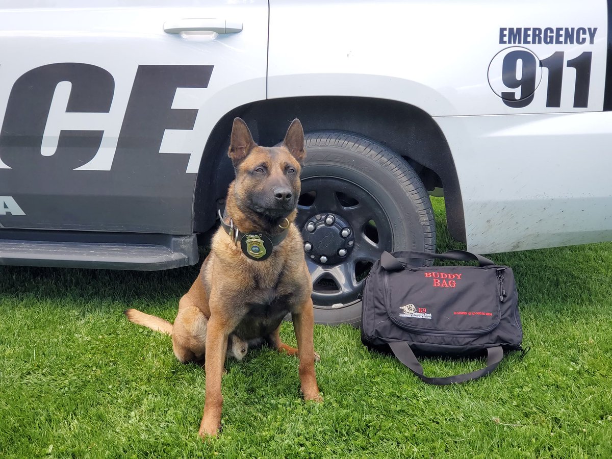 AltoonaPD_K9_IA's tweet photo. Thank you K9 Defender Fund 🐾 for @AltoonaPD_Iowa 🚓 K9 Judge’s Buddy Bag! This bag is equipped w/essentials 👍 that a specialized dog needs on patrol.  This is Judge's own “go bag” while working/training. K9’s 🐕 are our partners, and their health 🩺 &amp; welfare 🩹 are  important. https://t.co/jyZxob7IIT