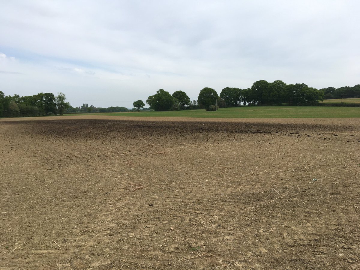 No1FarmerGuy's tweet photo. We havenโt gone as professional as @CoVegUK but gathered up all random veg seed, dumped it in the drill & top dressed with compost ๐คทโโ๏ธ #TwoChances ๐ https://t.co/Zo0MY6L3K8