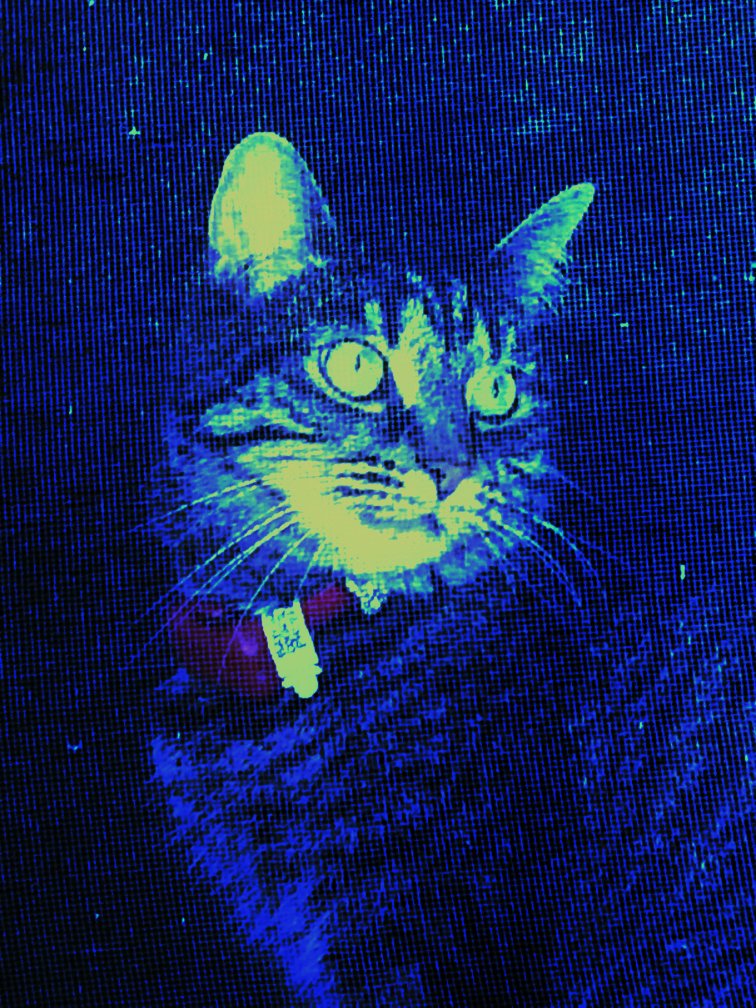 ImgPrompt's tweet photo. Staring, waiting, hunting, tense.

There's a bird upon my fence!

#ImgPrompt https://t.co/R2kX2YEhhs