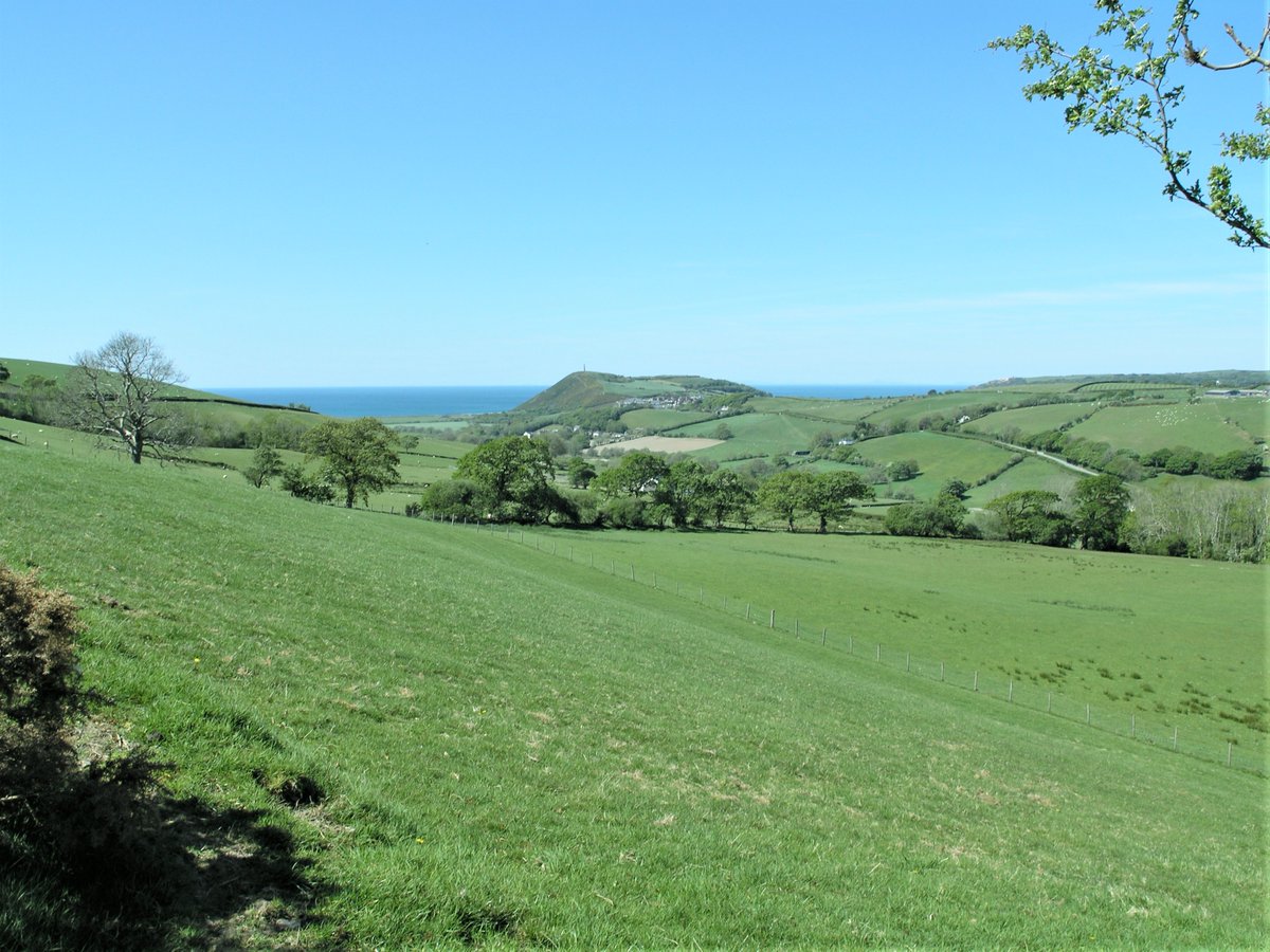 Doleoscottages's tweet photo. Gorgeous view of Cardigan Bay from the top of my meadow. https://t.co/o8bBgcacGu