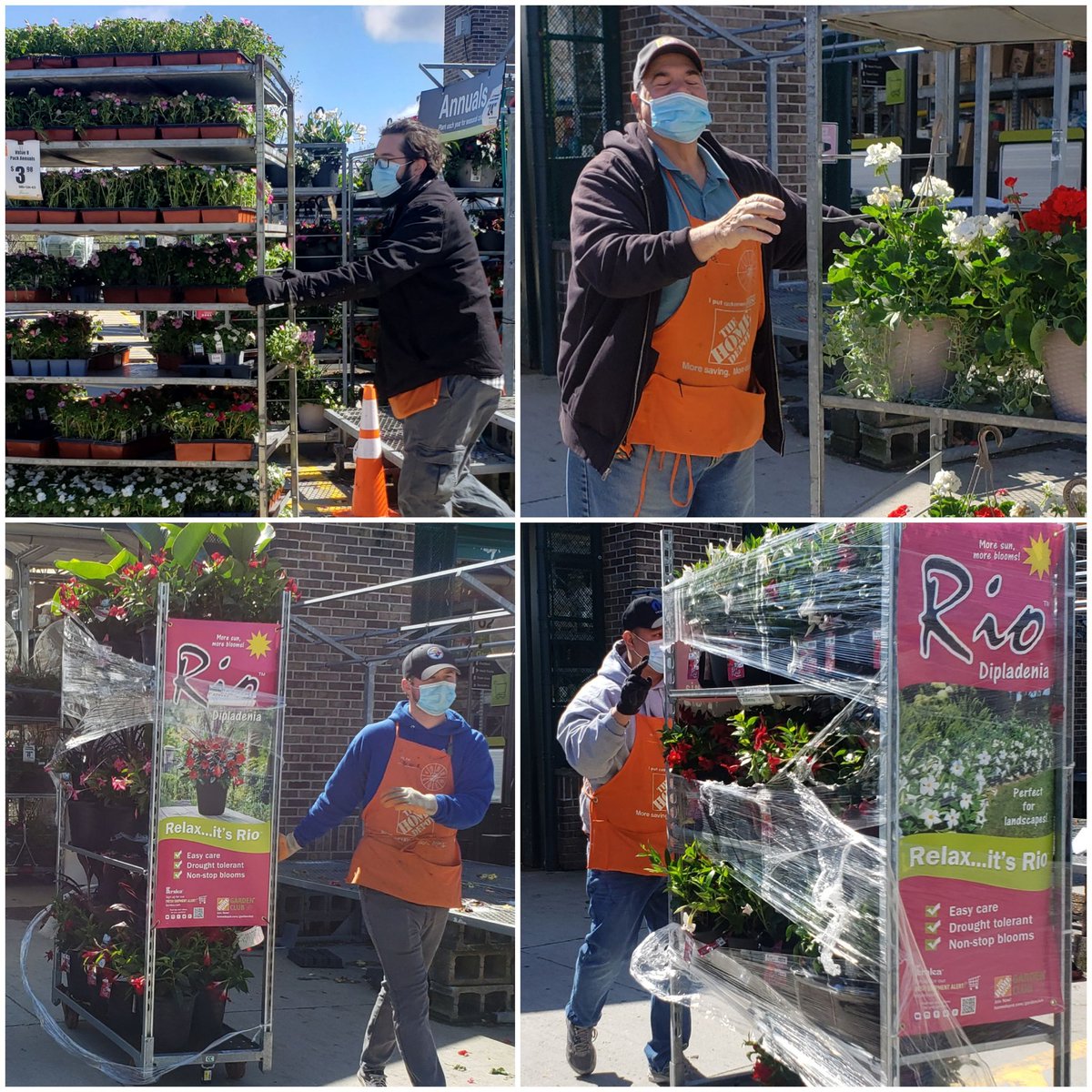justkellyisfine's tweet photo. Last night all annuals came in to protect from the frost and today they went back out. Special thanks to all the associates of the Brewster @HomeDepot for living our values!People like you are what make us great! #1271GettingItDone @KurtzFarmsCT
@daryl_hagen @RichAltmann https://t.co/rXsnAZQ5M9