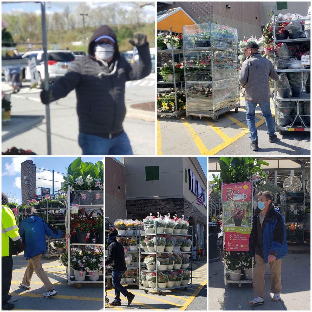 justkellyisfine's tweet photo. Last night all annuals came in to protect from the frost and today they went back out. Special thanks to all the associates of the Brewster @HomeDepot for living our values!People like you are what make us great! #1271GettingItDone @KurtzFarmsCT
@daryl_hagen @RichAltmann https://t.co/rXsnAZQ5M9