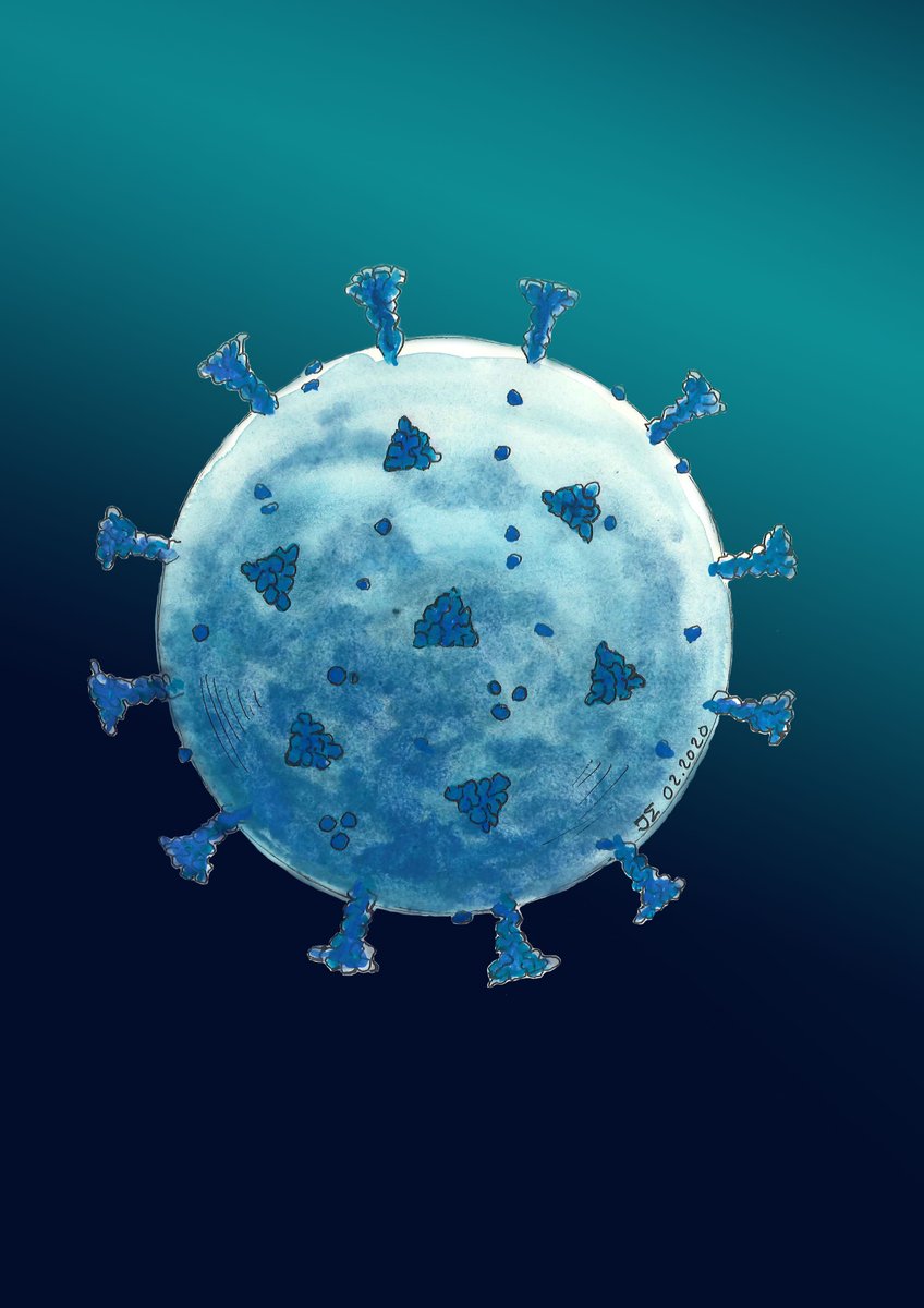 MicrobesInfect's tweet image. Is COVID-19 receiving #ADE from other coronaviruses?

Antibody dependent enhancement requires prior exposure to similar antigenic epitopes, presumably circulating in other viruses

sciencedirect.com/science/articl… #coronavirus #SARSCoV2