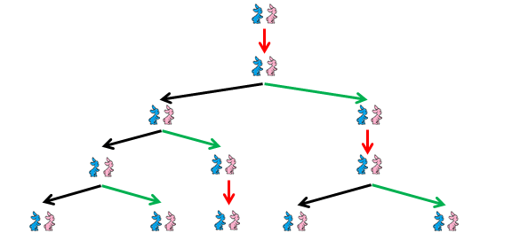 Cuando buscaba resolver un problema sobre la reproducción de los conejos, calculó que el número de parejas por mes está determinado por una sucesión. Después de un año la cantidad de conejos es el doceavo término de la sucesión: 144.