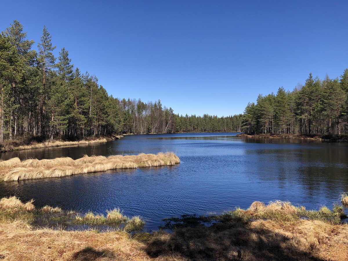 SStrmsnik's tweet image. Finska je čudovita. #Finlandia 

P.S. s sabo sem prinesla majhen košček doma. @FEJS_Si