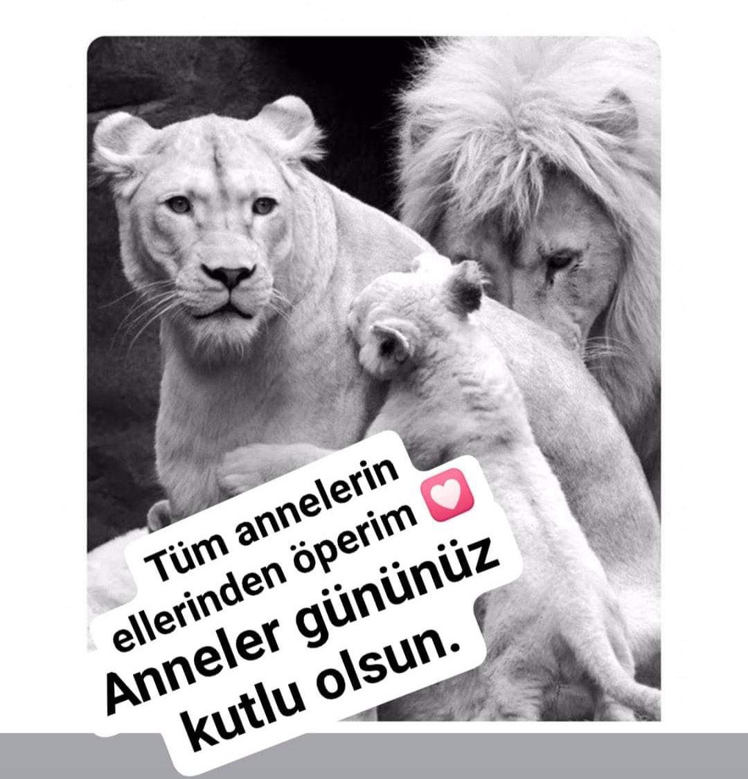 * Baban kral da olsa hep annene sığınırsın.. 
#MothersDay #annelergunu #annelergunukutluolsun