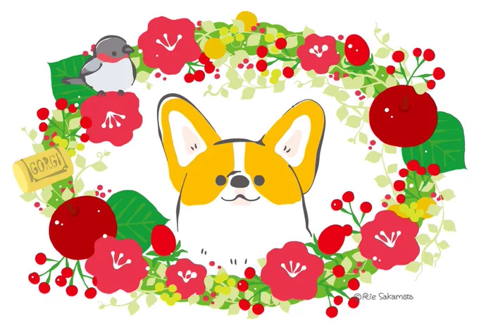 お母さんいつもありがとう
#母の日 #コーギー #ウソ #カワラヒワ 