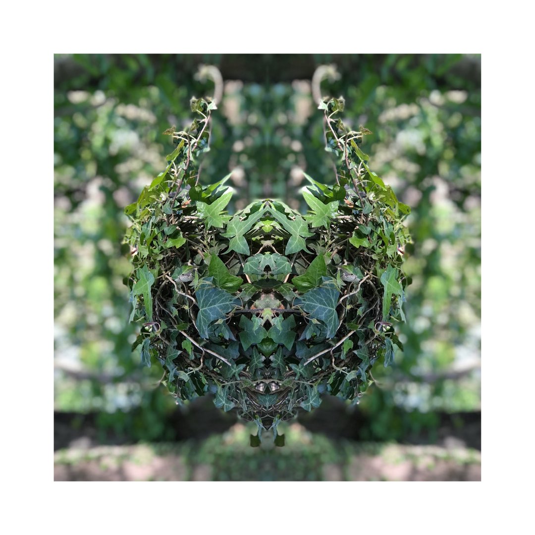 🚨 ‘The green knight’. One of my artworks that I will selling via <a href="/Teemillstore/">Teemill</a> on my beloved #IsleOfWight, my 2nd home. Others will include my Dad’s original fine line drawings. Dad lives on the Island so it’s a no-brainier to use an ethical, local UK-based company 👀 🚨