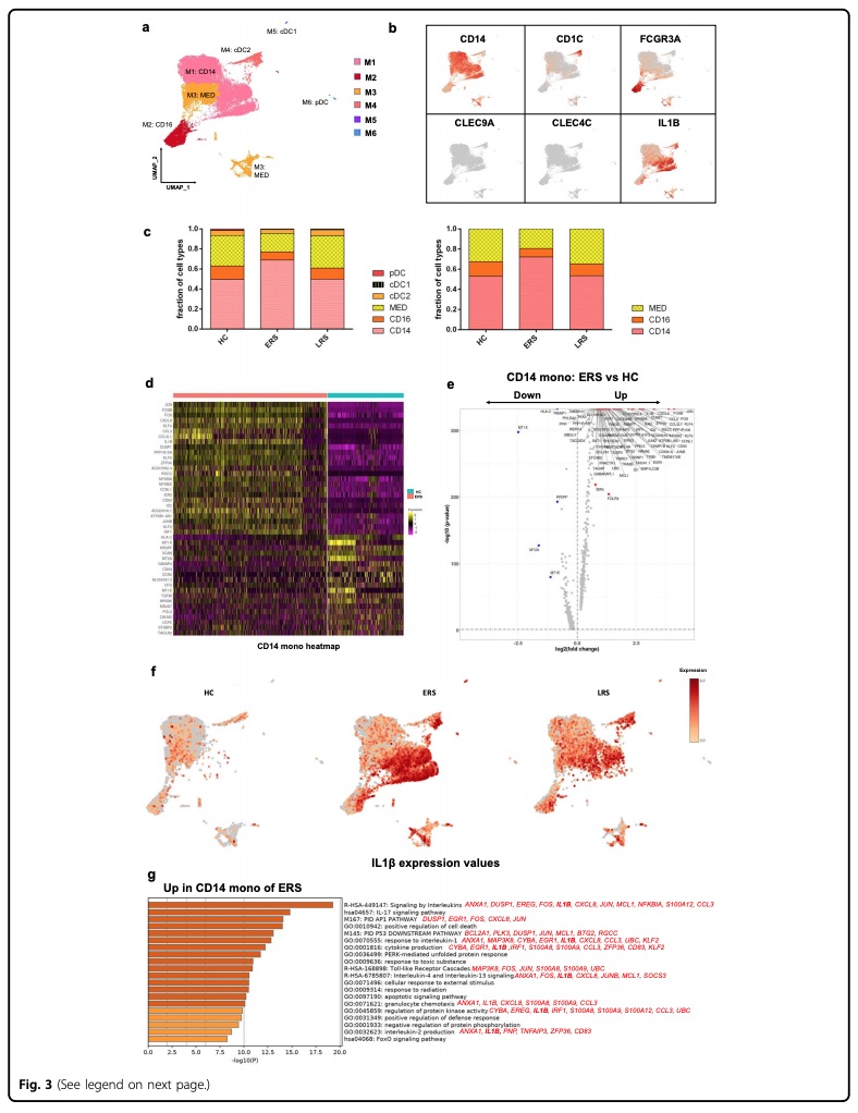 Single cell RNA-seq from peripheral blood in the early recovery stage of COVID-19 demonstrated an increased ratio of classical CD14++ monocytes with high inflammatory gene expression as well as a greater abundance of CD14++IL1β+ monocytes.  https://www.nature.com/articles/s41421-020-0168-9