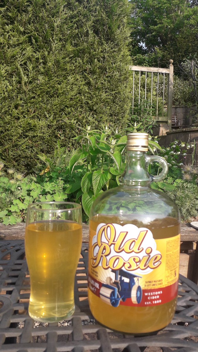 haggerzz's tweet photo. Nice evening for a bit of @WestonsCiderMil Old Rosie.... #ciderweather #lush #teamapples https://t.co/68p4U5bVRK