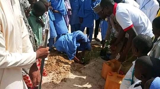 ACCRECMaiduguri's tweet photo. ACCREC deemed the importance of integrating the ideals of #ClimateAction to the educational system. With introducing Going Green at the Grassroot (3G) at Federal Low-cost Primary School, to combat desertification and mitigate changing climate.
@FMEnvng @UNCCD @UNDPClimate https://t.co/M90STqPbMt