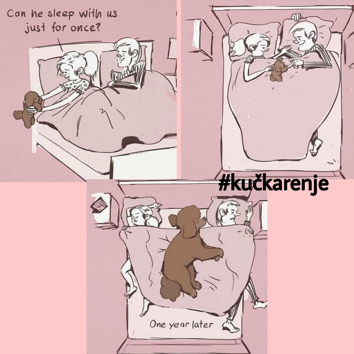 Gde spava vaš pas?
#kučkarenje