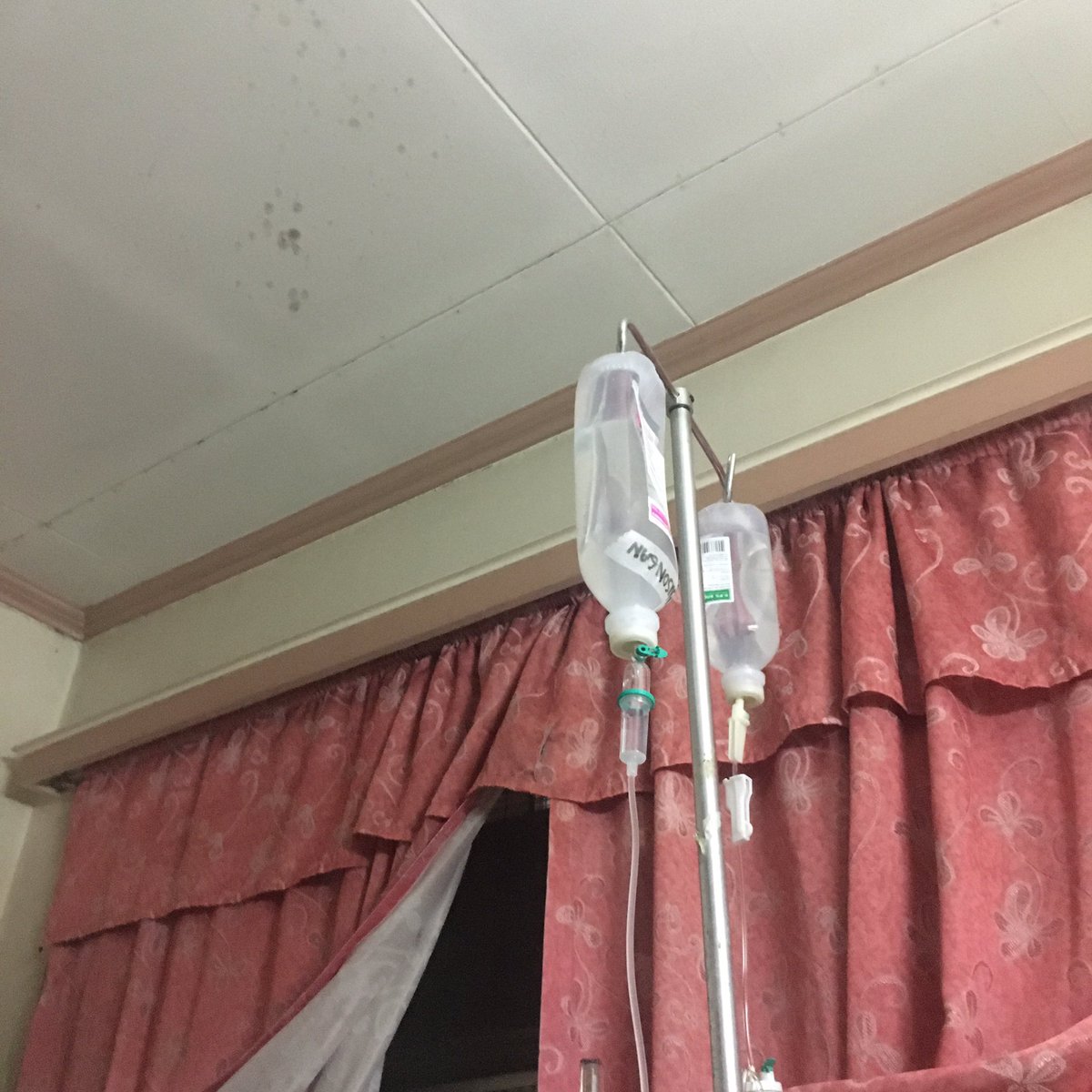 Day 1 of isolation. 

Labworks were done within the day. We'll have to wait for 3 days to get the result of my swab before my main treatment for my lumps. So far, everything is going well. ☺️