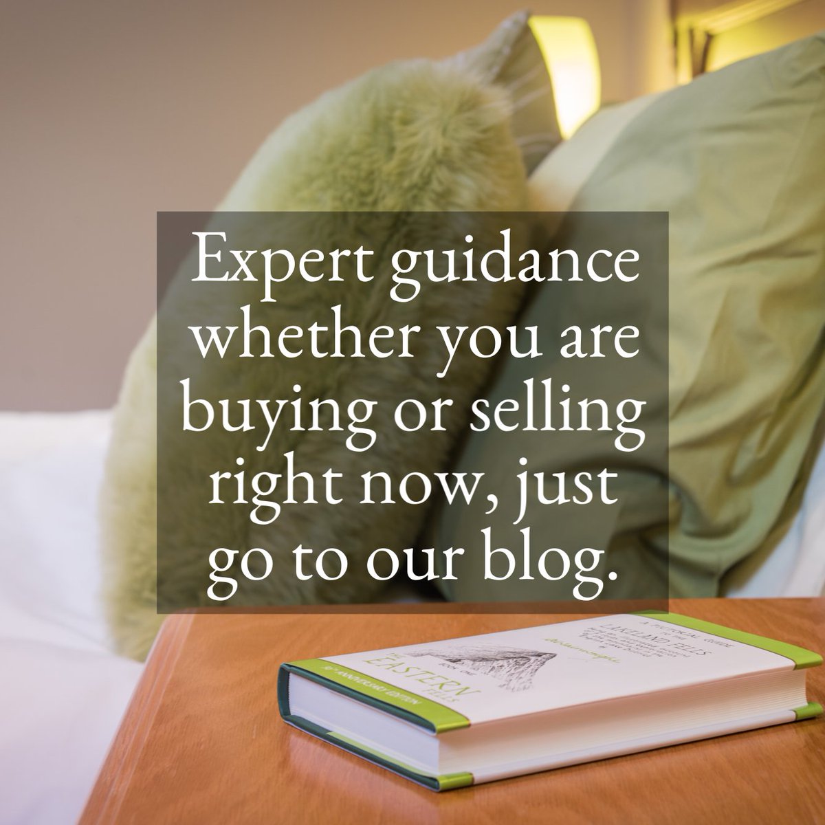 AGinHarrogate's tweet photo. Selling your home in an uncertain time – what you need to know right now

https://t.co/hymrwssoJg https://t.co/sPUgBg9iad