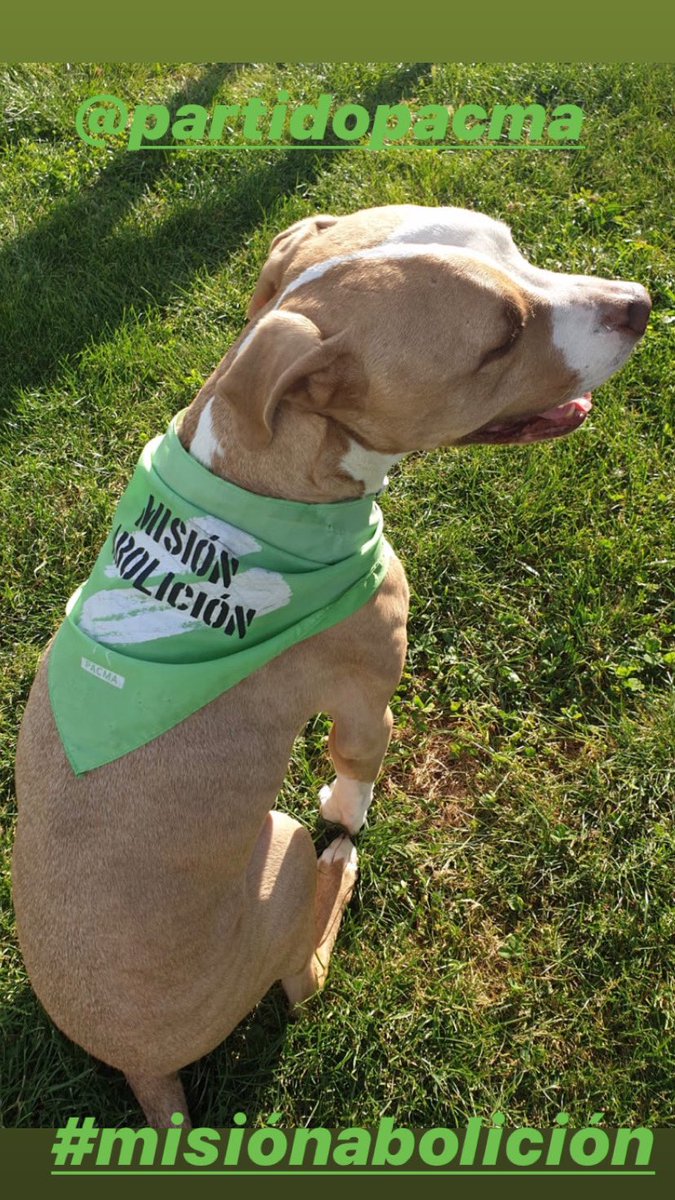 #MisionAbolición <a href="/PartidoPACMA/">PACMA</a>