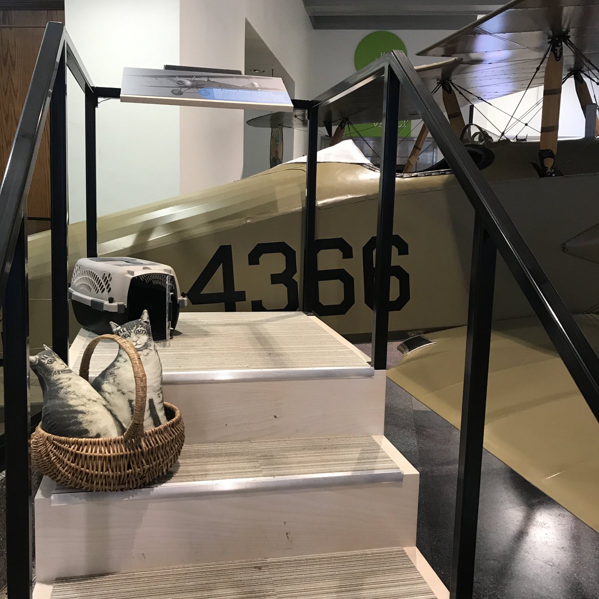 TompkinsHistory's tweet photo. Who let the cat out π? Tune in Sunday at 10am for a very special visitor to @tompkinshistory for #NationalPetWeek! #IthacaKitty #ithacaispets #tompkinscounty #localmuseumsunite https://t.co/gsZZAjMNWc