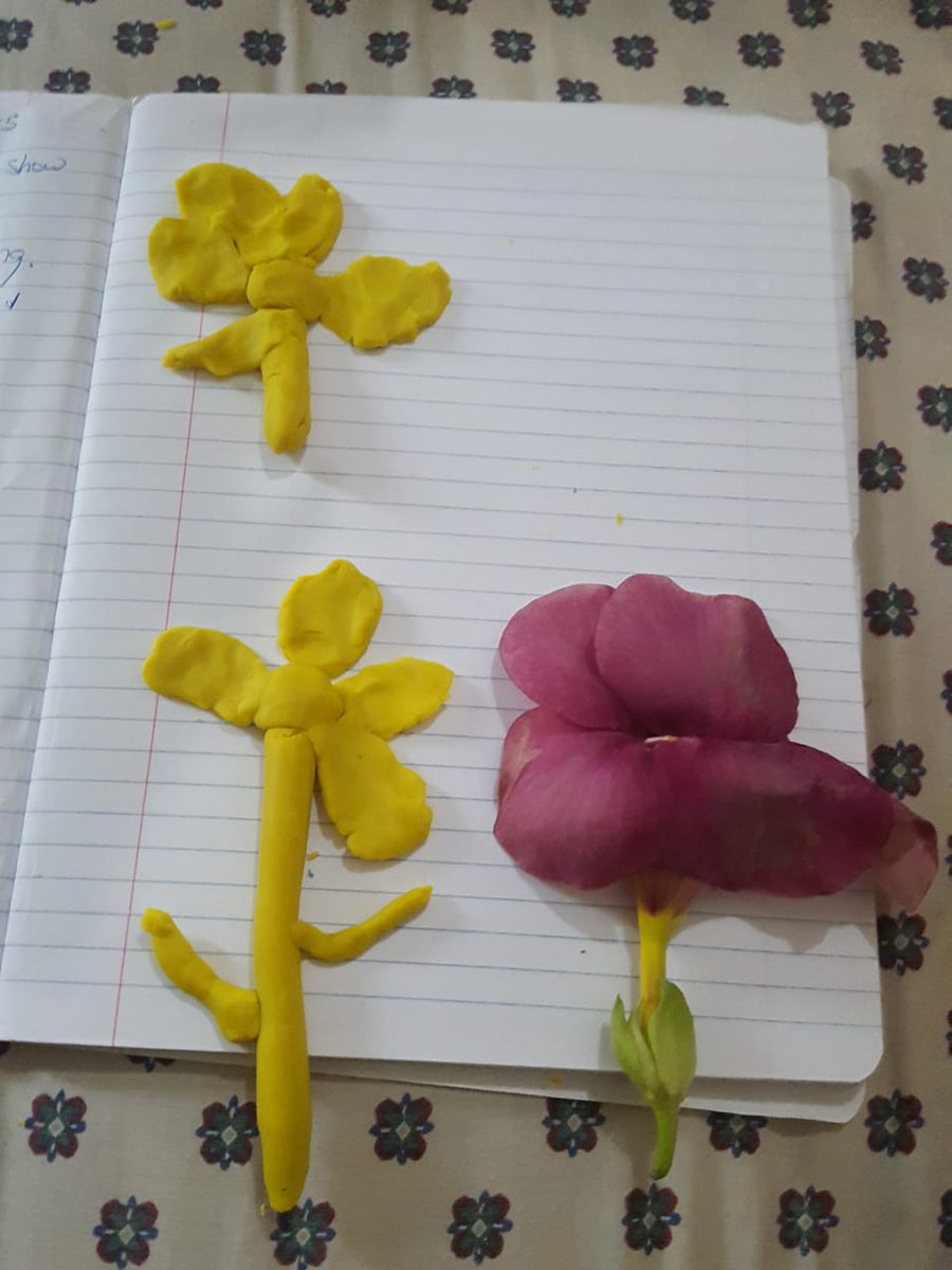 Four Paths Basic tweet media