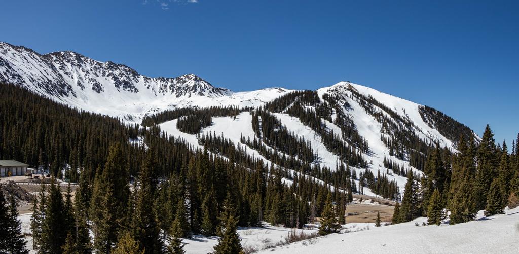 Happy Saturday!
No need to stress, the mountain hasn't gone anywhere.
Enjoy the beautiful weekend.🌞
#ABasin #LetsLegend #WeWillShredAgain