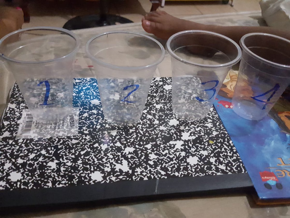 Four Paths Basic tweet media