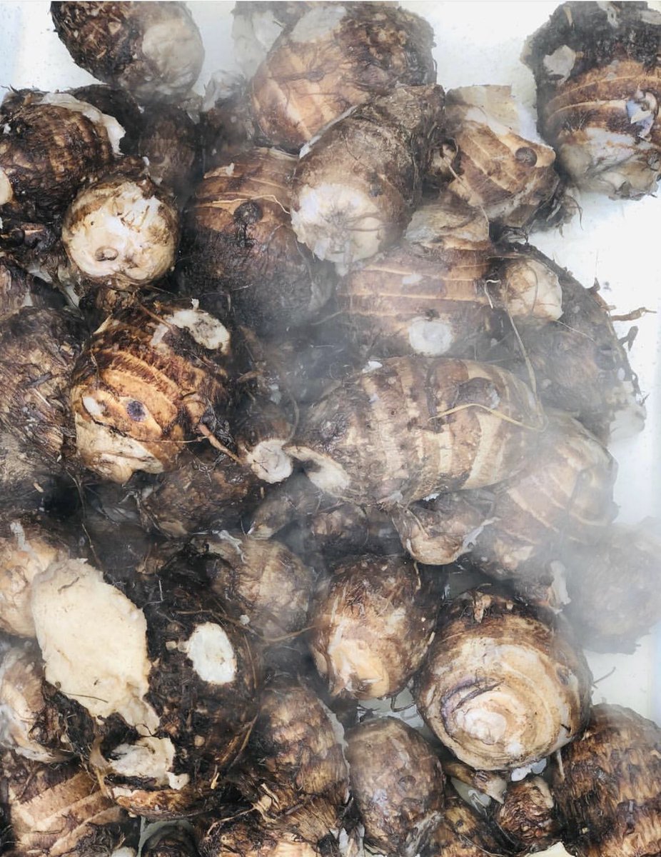 SWBL  Amadumbe 🤤😩