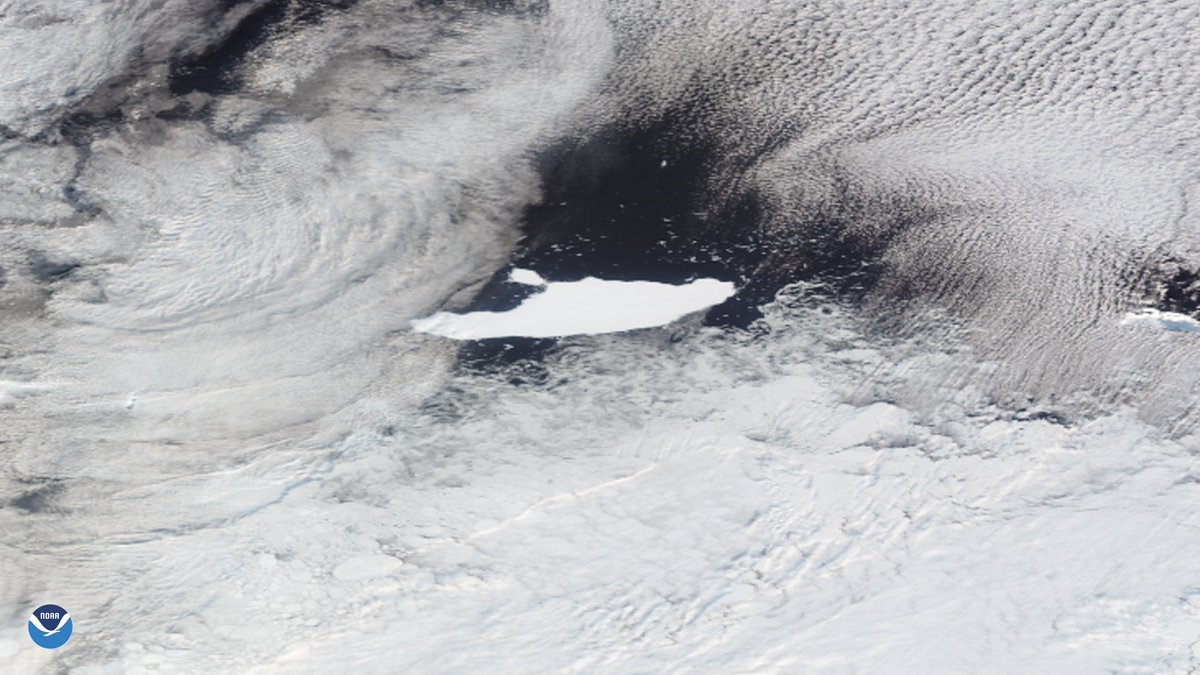 ApolloMapping's tweet photo. Check out this shot of the world's largest #iceberg peaking through the clouds... Captured by the #NOAA-20 #satellite @NOAASatellites 

https://t.co/zPx3Q9KYvZ

#NOAA #NESDIS #USNIC #A-68A #SatelliteImagery #VIIRS #RemoteSensing #Antarctica #WorldsLargestIceberg #ApolloMapping https://t.co/49PNjpUVGd