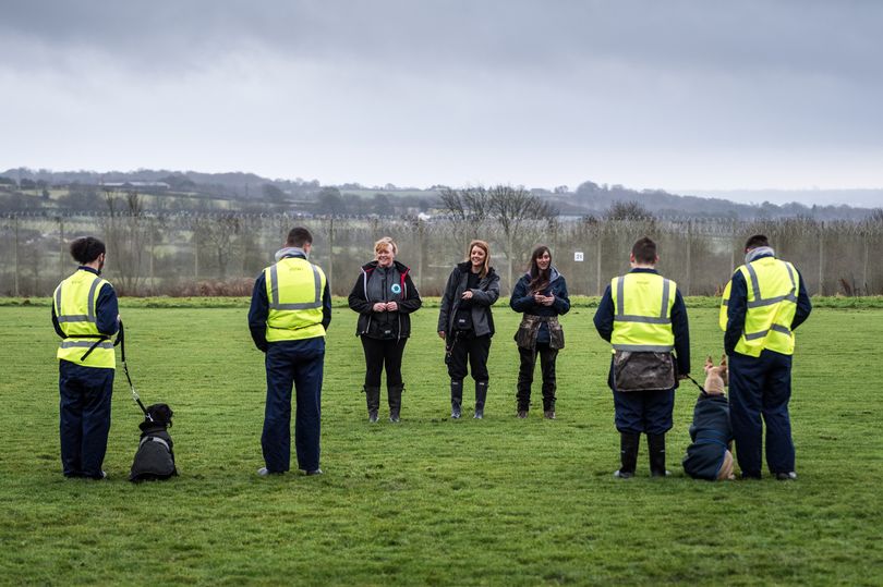 thesundaypeople's tweet photo. Young offenders teach bad dogs so out of control they face being put down https://t.co/cKXGVsCRtC https://t.co/t0Hde9E7lf