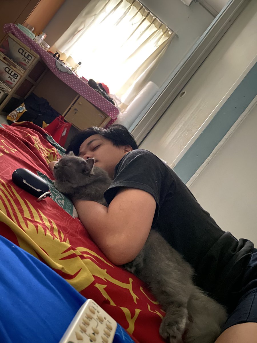 sudah buka jadi bisa legalisasi manja.