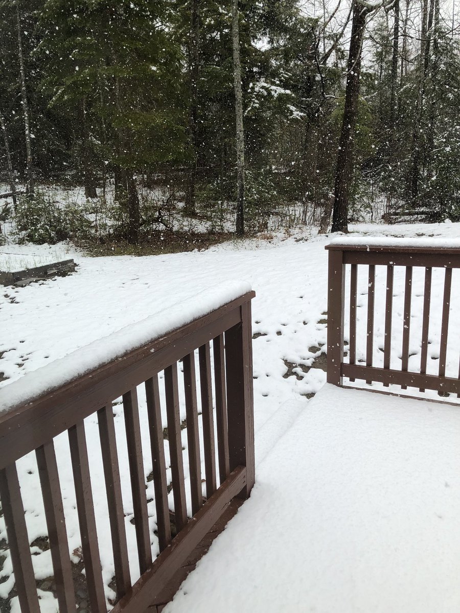 2ThumbClicks's tweet photo. Welcome to Maine, where everything’s made up and the weather doesn’t matter. Also I woke up quite sick. Happy May 9th y’all. https://t.co/1v2aS2IMb0