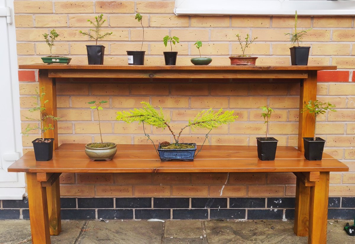 Seams fitting that I should finish building my Bonsai bench on World Bonsai Day. #Bonsai #WorldBonsaiDay2020