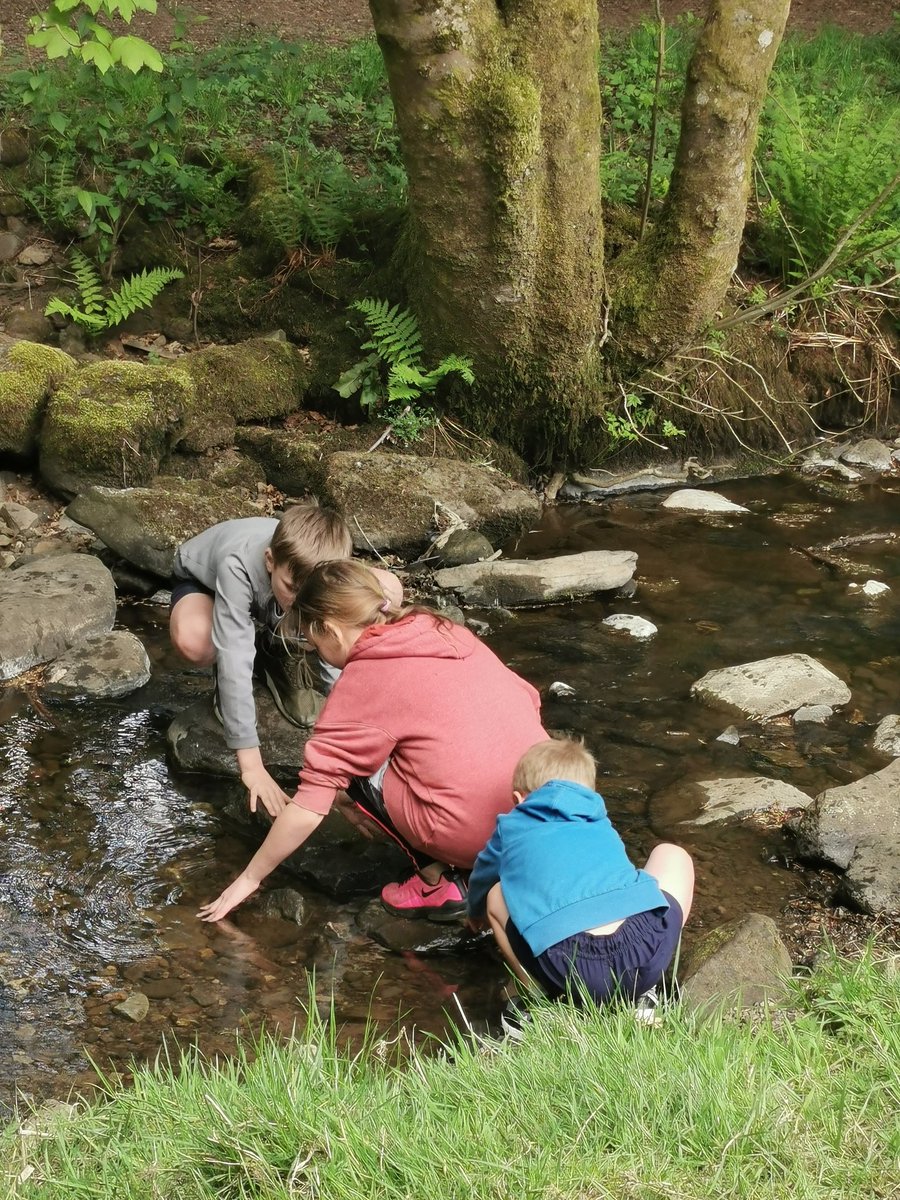 SMPerformancetr's tweet photo. Lucky to have this on our doorstep for Abi, Logan and Brody to enjoy. Squirrel spotting and building bridges in the stream.

#outdoorlearning
@BredilandSchool 
#nature #greysquirrel https://t.co/YswJ7RdQUF