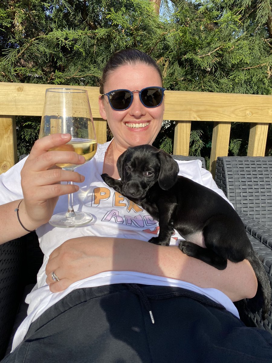 GBMC73's tweet photo. So here we have #Harlowโs mamma #Kezza ๐Then a nice pic of #Mamma and #Rogue the #cat and #rogue posing on her own cat ๐ and finally #Harlow trying to work out how to get off a 12cm mat ๐๐๐ Saturdays in wor gaff ๐ https://t.co/nwbwgjpZRe