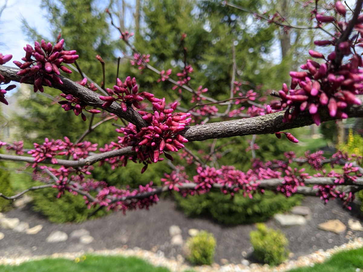 One good thing about the #pandemic is it has slowed things down &amp; allowed us to appreciate the smaller things, such as #family &amp; #nature.