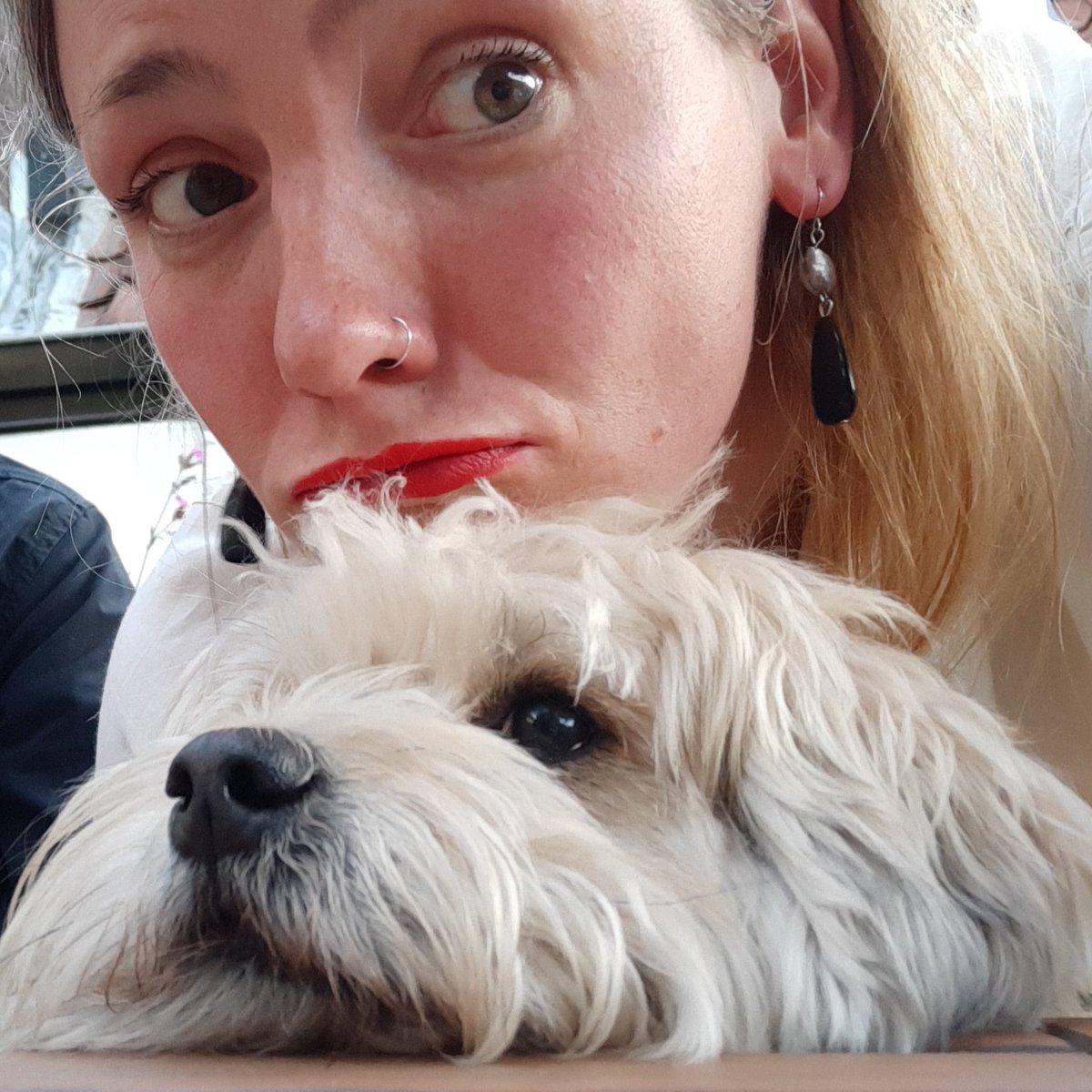 MKerkwijk's tweet photo. Billie ❤ https://t.co/1k32MGWhVn