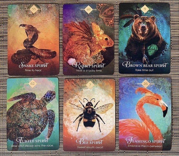 Spirit animal oracle
Boyut 10*7
100 tl #tarot #fal #tarotfalı