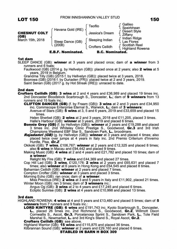 This cracking looking colt by @tweenhills  HAVANA GOLD is offered from @darragh_24 innishannon Valley Stud.  His been presented @tatts_ireland Breeze Up Lot:150.  View on our #BreezeUpPortal or visit horsesales.ie/all-horses/col…