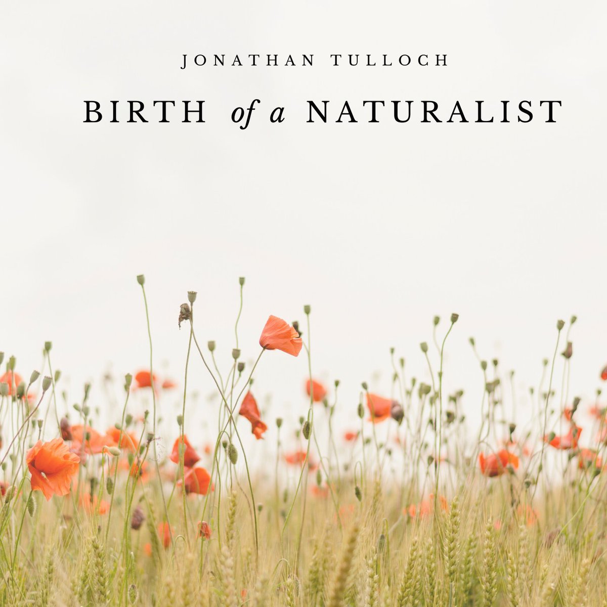 JonathanTulloch's tweet photo. Bridleways and Birds Nests. Birth of a Naturalist podcast 8 #naturalhealthservice #nature #wildflowerhour #SolaceInNature  Spotify, Apple, Deezer and online at https://t.co/dVxOaGX3f3 https://t.co/jBAb7wwONg