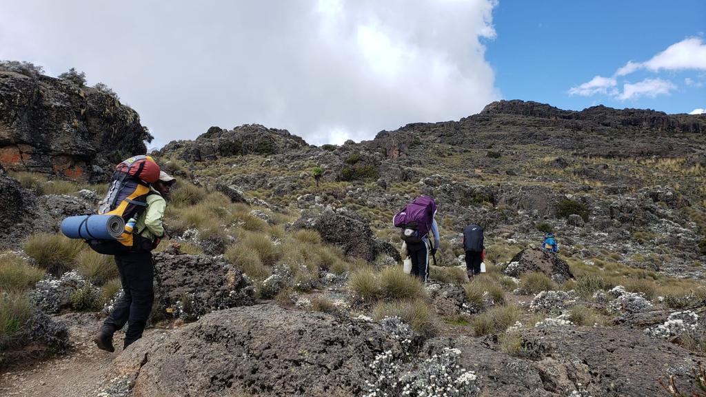 After this Pandemic, we shall do it again like never before!
#Hiking #MountainClimbing #Trekking #mtkenya #kilimanjaro #africamountains #walkingsafaris #outdoors #outsidelife #myjob #mountainguiding #mountreksadventure #backpacking #camping #weshalltravelagain