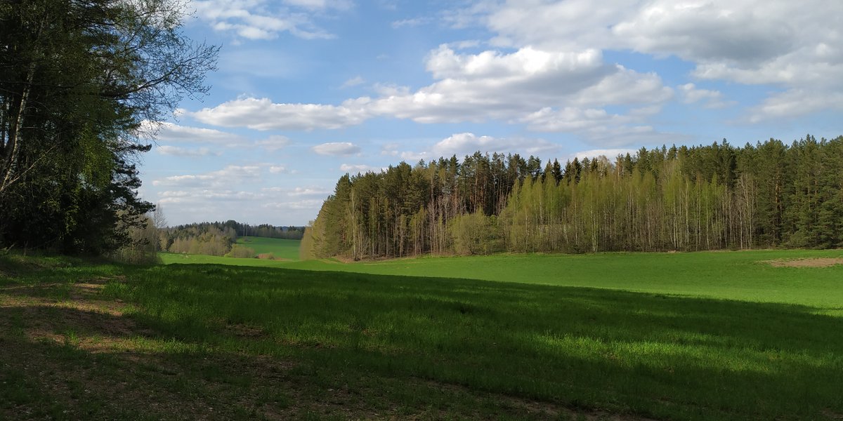 BelarusTt's tweet photo. #Raubichi #Belarus 2020 #MayDay2020 #may https://t.co/EewtbXbhF2